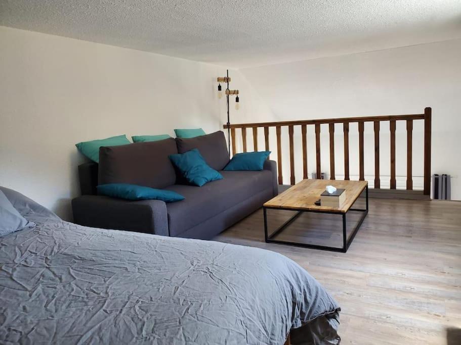 Appartement Chaleureux. バルスロネット エクステリア 写真
